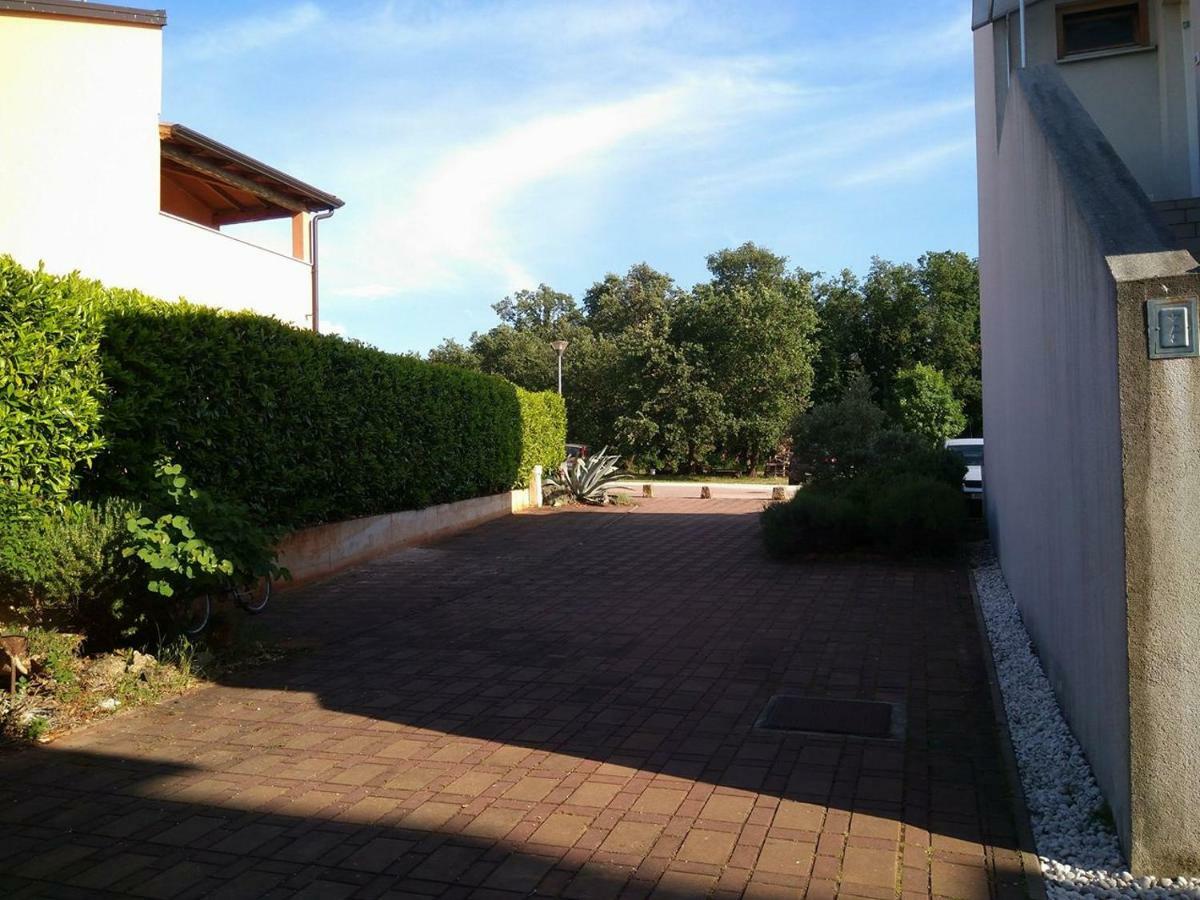 Medo Daire Novigrad Istria Dış mekan fotoğraf