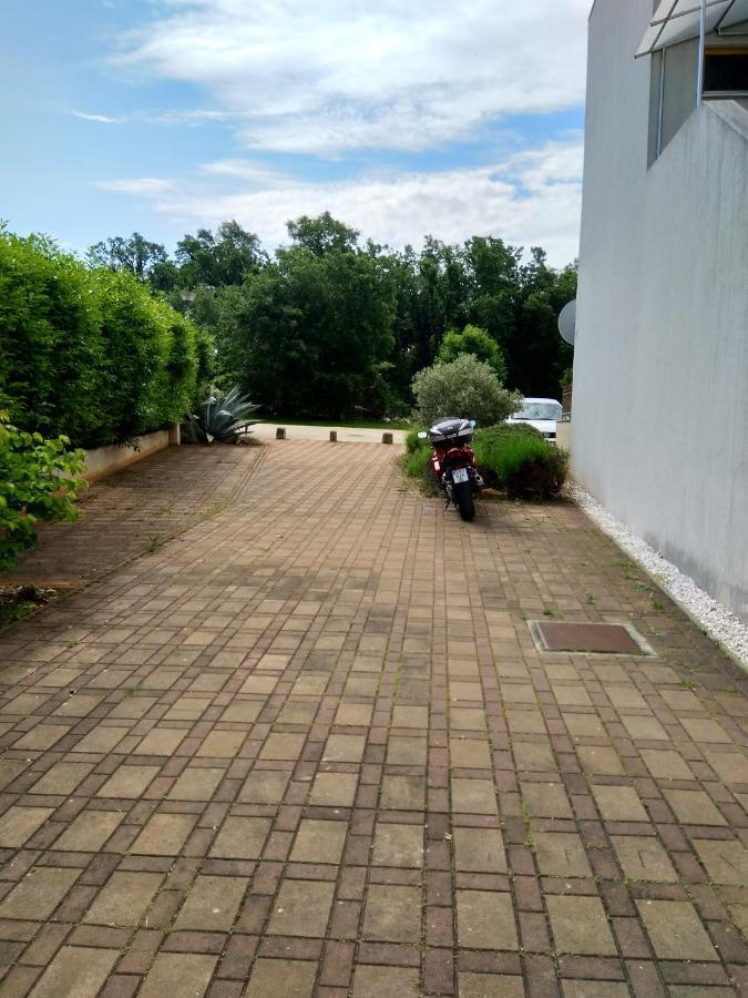 Medo Daire Novigrad Istria Dış mekan fotoğraf