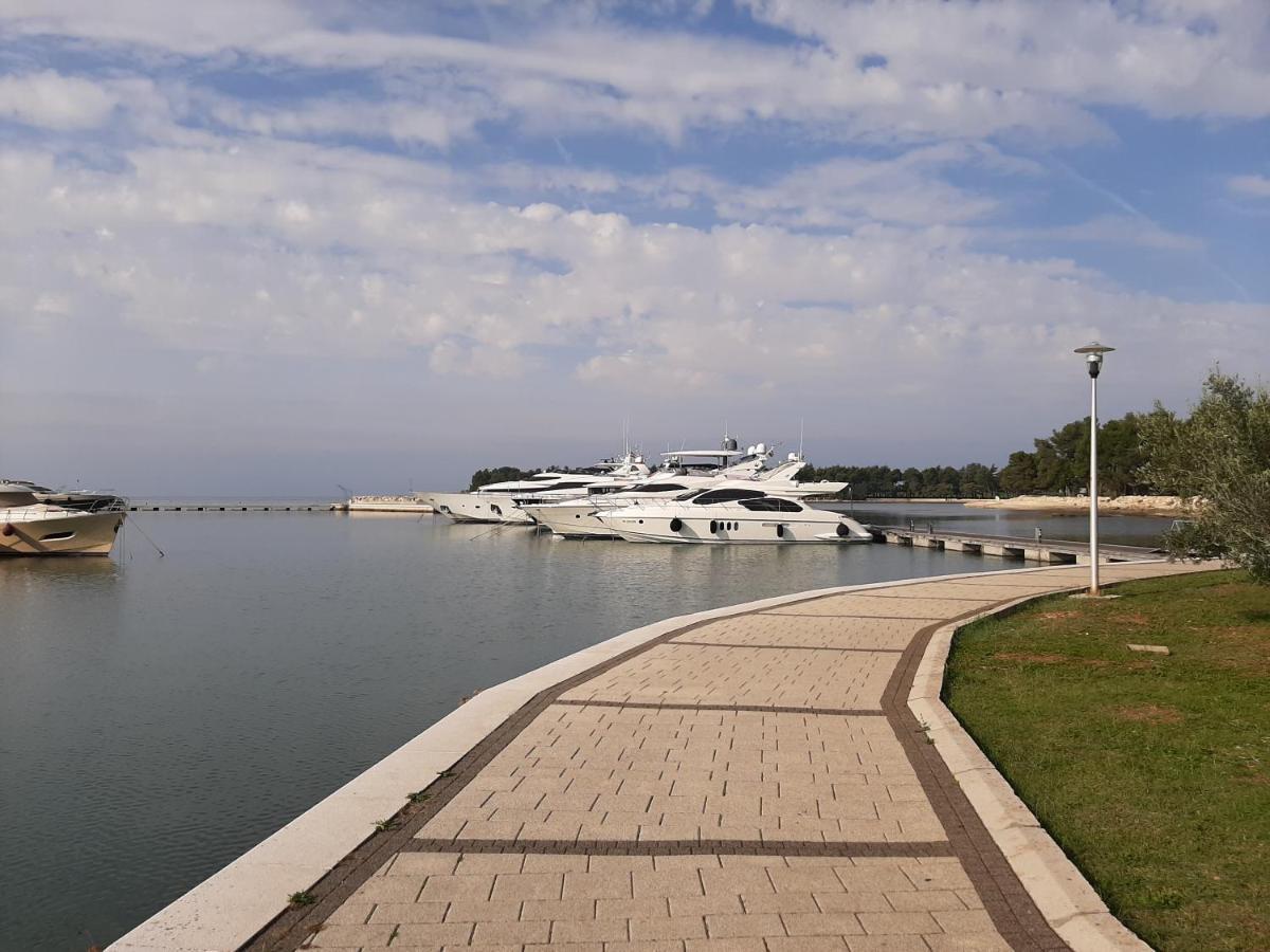 Medo Daire Novigrad Istria Dış mekan fotoğraf