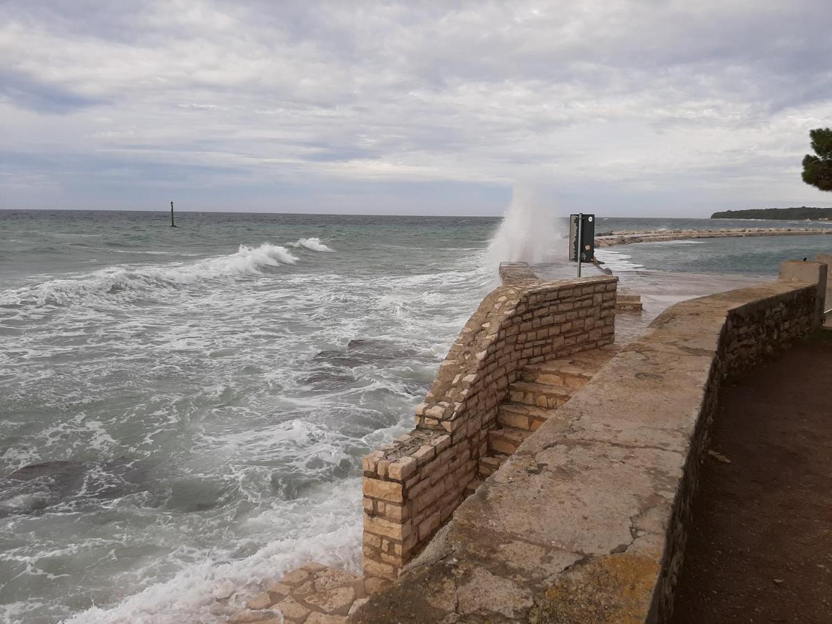 Medo Daire Novigrad Istria Dış mekan fotoğraf